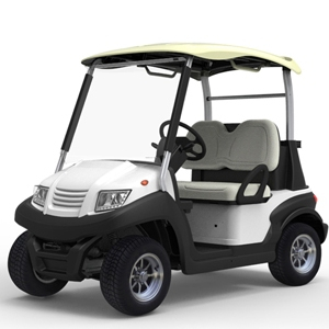 High quality 2 seater mini golf cart - EG202AK