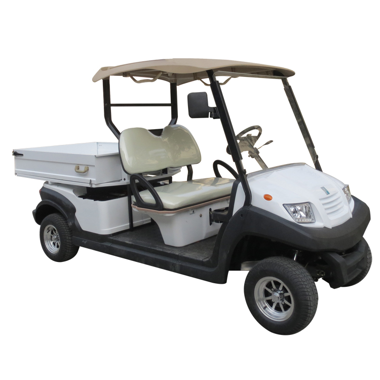 2 seater utility electric golf cart with box - EG204AHCX