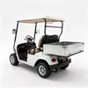 CUstom 2-Seater Electric Utility Golf Cart with Aluminum Cargo Bed 