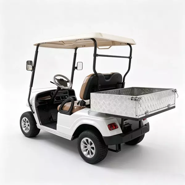 CUstom 2-Seater Electric Utility Golf Cart with Aluminum Cargo Bed 