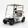 Custom 2 Seater Electric Golf Cart Manufacturer & Wholesale 