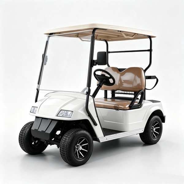 Custom 2 Seater Electric Golf Cart Manufacturer & Wholesale 