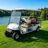 Import Wholesale 6 Seater Person Golf Carts - Eagle Golf Cart