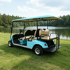 OEM ODM 6 Seater Person Electric Golf Cart Golf Carts - Eagle Golf Cart