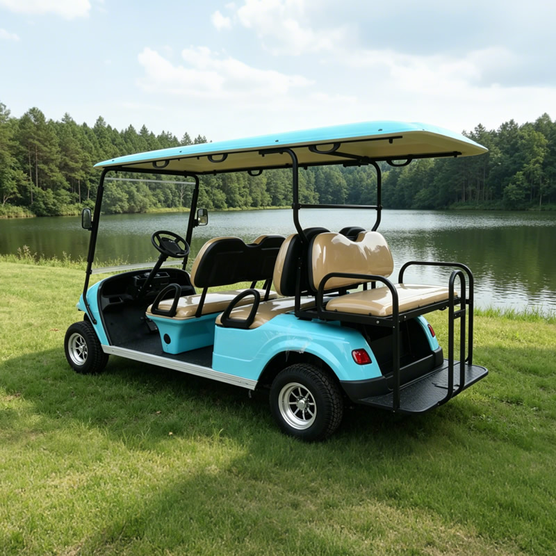 OEM ODM 6 Seater Person Electric Golf Cart Golf Carts - Eagle Golf Cart