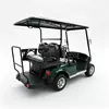Custom 2+2 Seater Electric Golf Cart