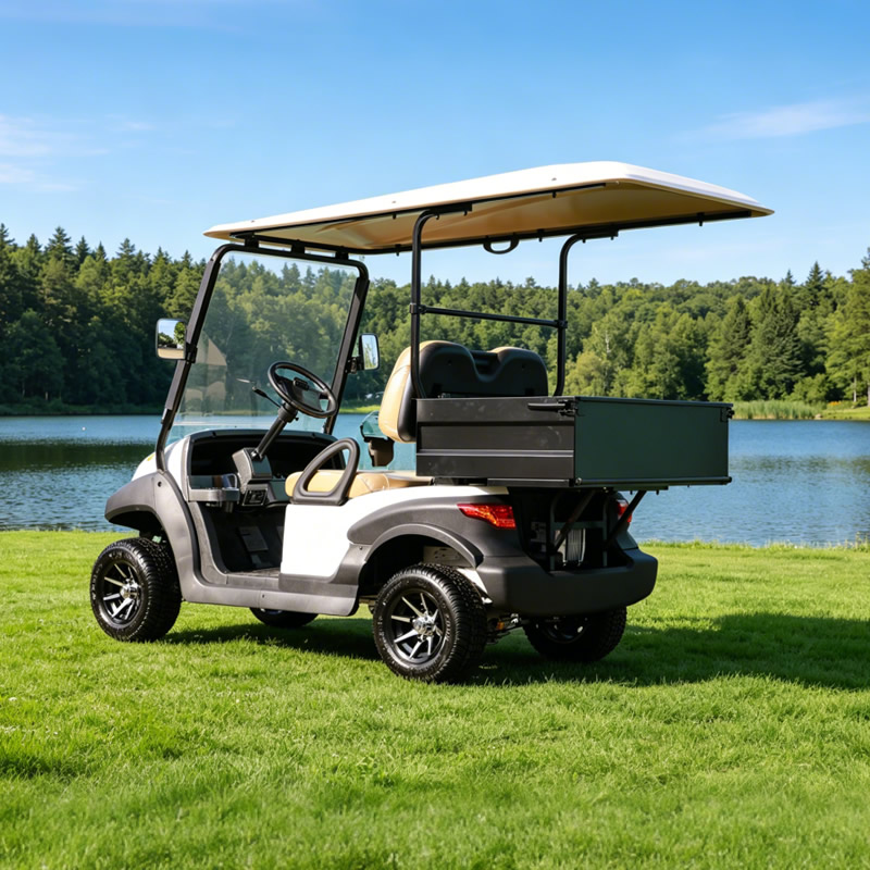 Custom utility golf cart with box manufacturer - Eagle Golf Cart
