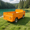 Factory customization 2 Seat Electric Cargo Trucks for Manufacturing Factory - Eagle Golf Cart