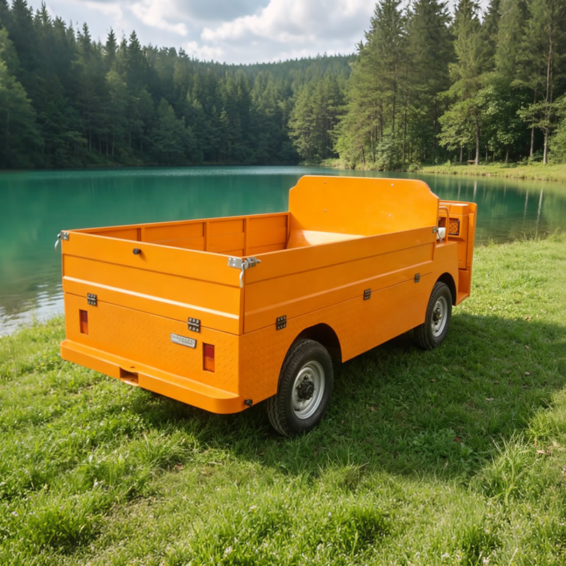 Factory customization 2 Seat Electric Cargo Trucks for Manufacturing Factory - Eagle Golf Cart