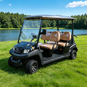 Custom Lithium Battery 4 Seater Golf Carts Buggy for Sale - Eagle Golf Cart