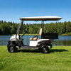Custom utility golf cart with box manufacturer - Eagle Golf Cart