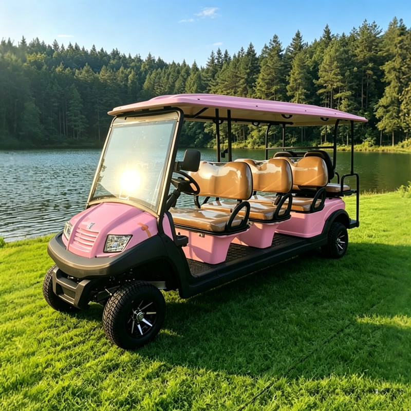 Custom Pink Golf Cart