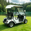 Custom Electric Street Legal Golf Carts Buggy - Eagle Golf Cart