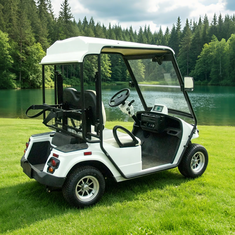 Custom Electric Street Legal Golf Carts Buggy - Eagle Golf Cart