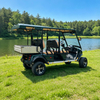 Custom Electric Hunting Off Road Golf Cart Cargo Truck Buggy Vehicle with Box Certification - Eagle Golf Cart