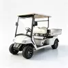 2-Seater Electric Cargo Golf Cart Factory & OEM Supplier
