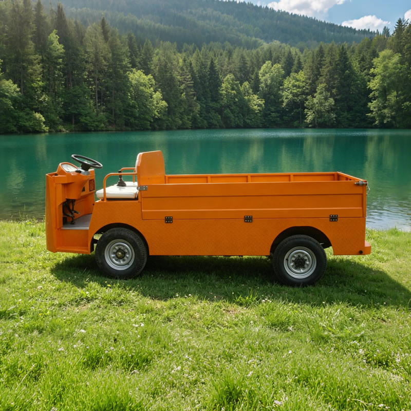Factory customization 2 Seat Electric Cargo Trucks for Manufacturing Factory - Eagle Golf Cart