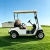 CUstom 2-Seater Electric Utility Golf Cart with Aluminum Cargo Bed - EG2028H