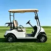 Custom 2 Seater Electric Golf Cart Manufacturer & Wholesale