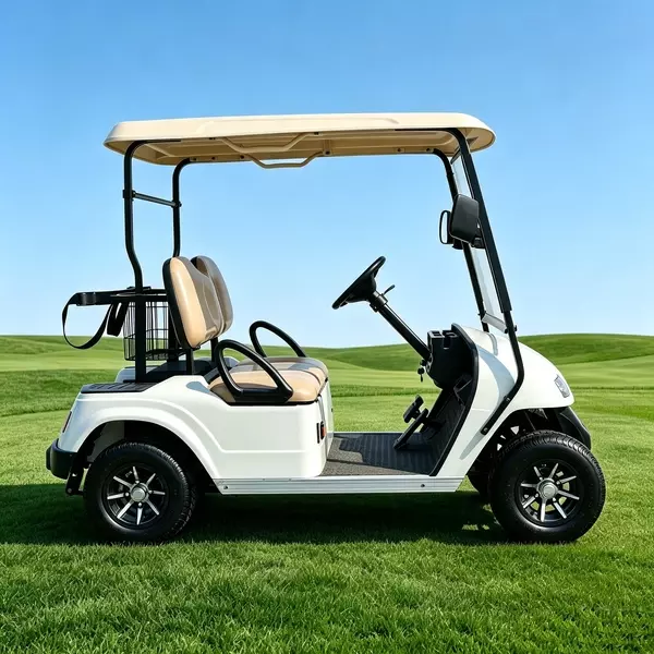 Custom 2 Seater Electric Golf Cart Manufacturer & Wholesale