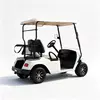 Custom 2 Seater Electric Golf Cart Manufacturer & Wholesale 