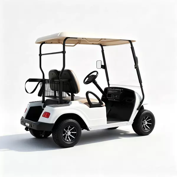 Custom 2 Seater Electric Golf Cart Manufacturer & Wholesale 