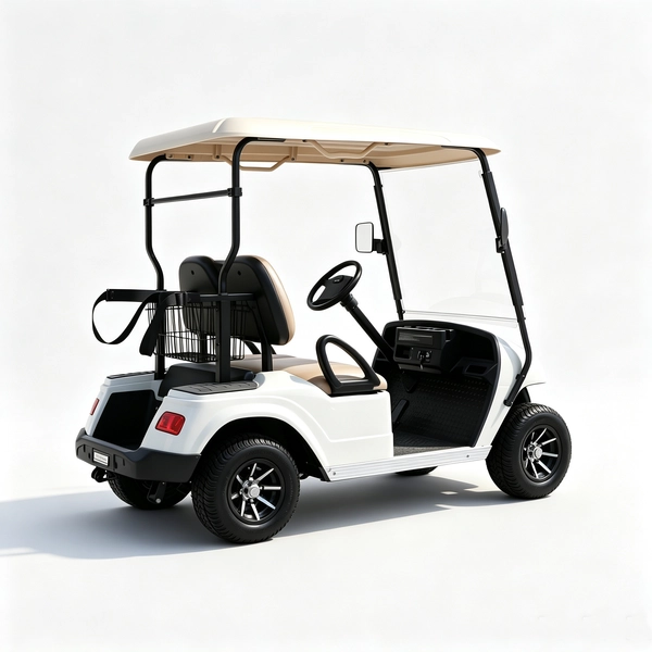 Custom 2 Seater Electric Golf Cart Manufacturer & Wholesale 