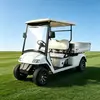 2-Seater Electric Cargo Golf Cart Factory & OEM Supplier
