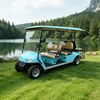 OEM ODM 6 Seater Person Electric Golf Cart Golf Carts - Eagle Golf Cart