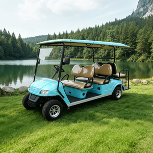 OEM ODM 6 Seater Person Electric Golf Cart Golf Carts - Eagle Golf Cart