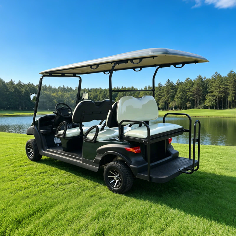 2+4 6 seater electric golf cart from China manufacturer - Eagle Golf Cart
