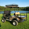Top Manufacturer Electric Off Road Hunting Offroad Buggy Vehicle - Eagle Golf Cart