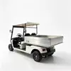 2-Seater Electric Cargo Golf Cart Factory & OEM Supplier