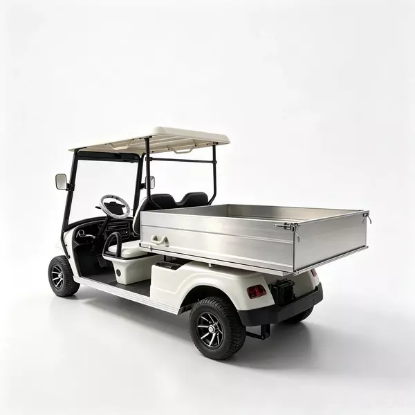 2-Seater Electric Cargo Golf Cart Factory & OEM Supplier