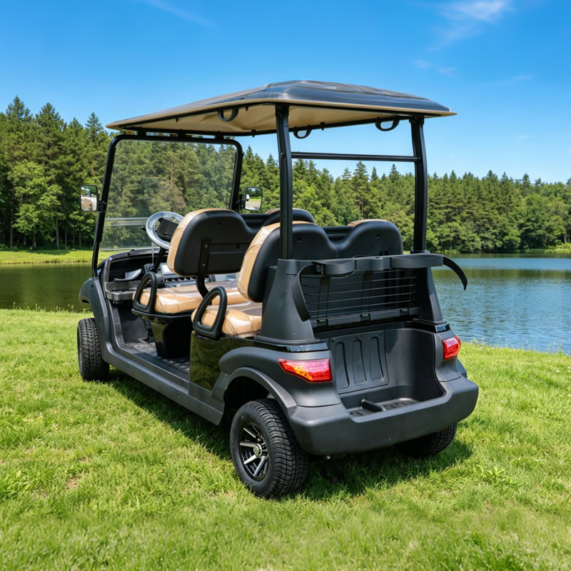 Custom Lithium Battery 4 Seater Golf Carts Buggy for Sale - Eagle Golf Cart