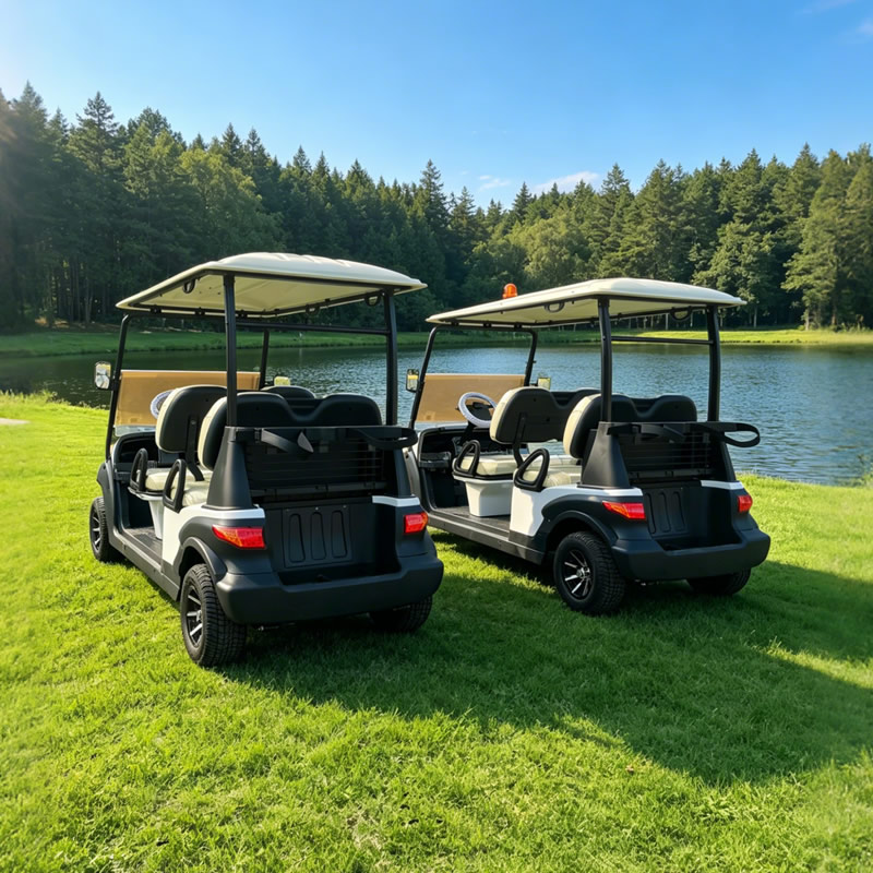 Chinese 4 seater golf carts wholesale - Eagle Golf Cart