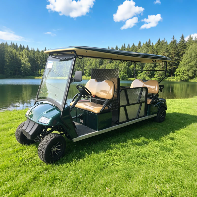 Custom Wholesale Disabled Utility Handicapped Golf Cart Manufacturer - Eagle Golf Cart
