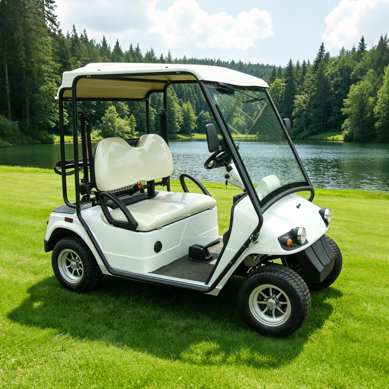 Custom Electric Street Legal Golf Carts Buggy - Eagle Golf Cart