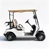 Custom 2 Seater Electric Golf Cart Manufacturer & Wholesale 