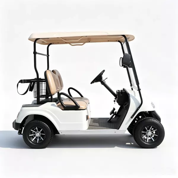 Custom 2 Seater Electric Golf Cart Manufacturer & Wholesale 