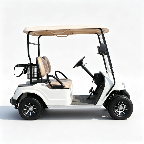 2-seater-electric-golf-cart (6)_EAGLE