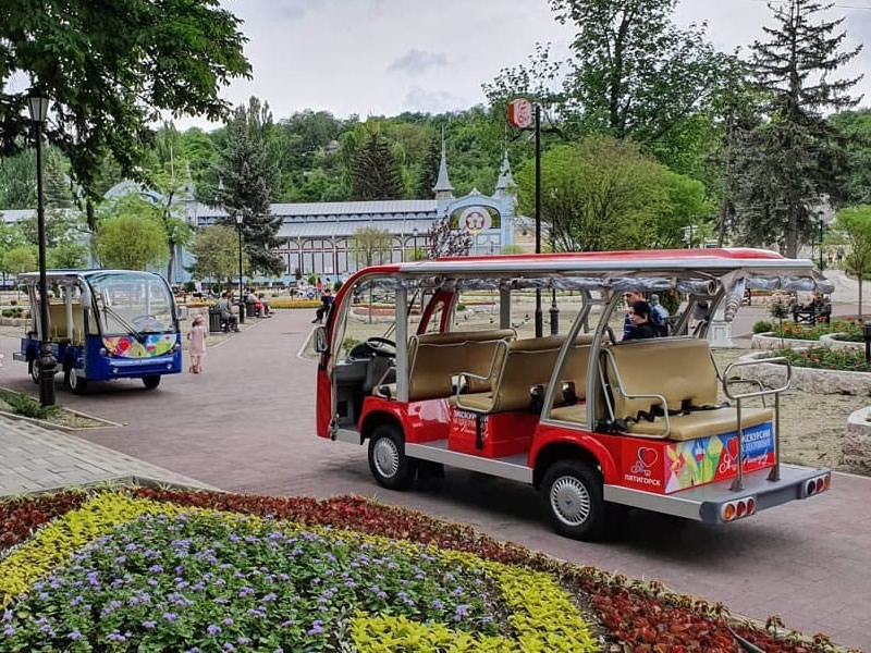 sightseeing electric cart
