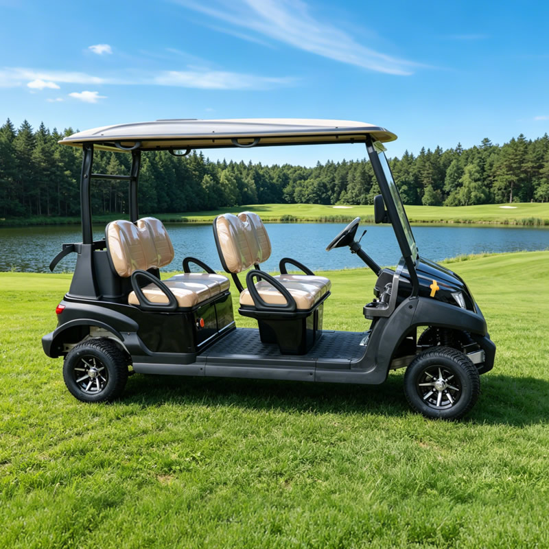 Custom Lithium Battery 4 Seater Golf Carts Buggy for Sale - Eagle Golf Cart
