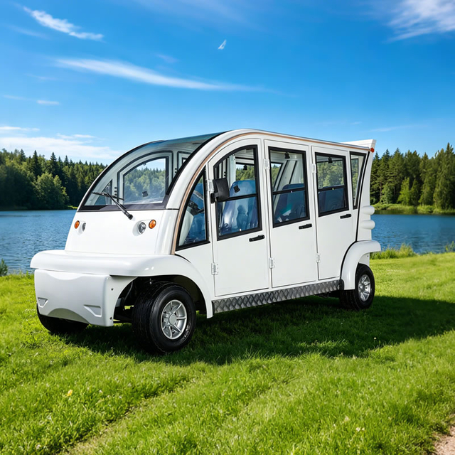  Custom Lithium Battery Supplier Electric Enclosed Patrol Golf Cart - Eagle