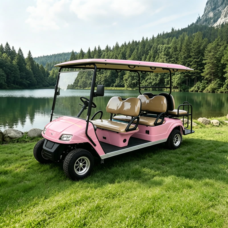 Custom Pink Golf Cart