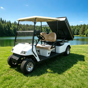 Utility Cargo Truck Golf Cart with Box - Eagle Golf Cart