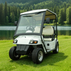 Custom Electric Street Legal Golf Carts Buggy - Eagle Golf Cart