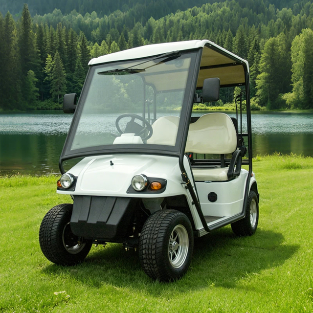 Custom Electric Street Legal Golf Carts Buggy - Eagle Golf Cart