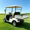 CUstom 2-Seater Electric Utility Golf Cart with Aluminum Cargo Bed - EG2028H