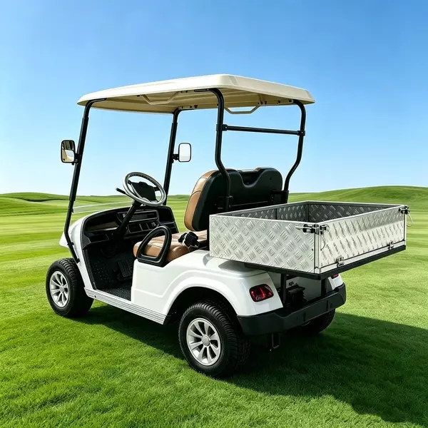 CUstom 2-Seater Electric Utility Golf Cart with Aluminum Cargo Bed - EG2028H